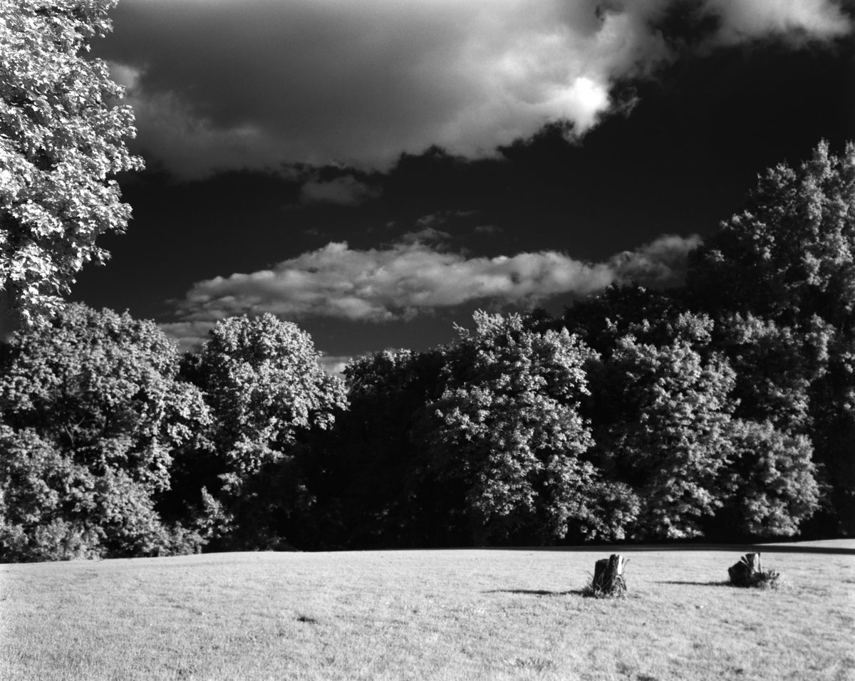 Mercury Vertov IR - 70mm BW film