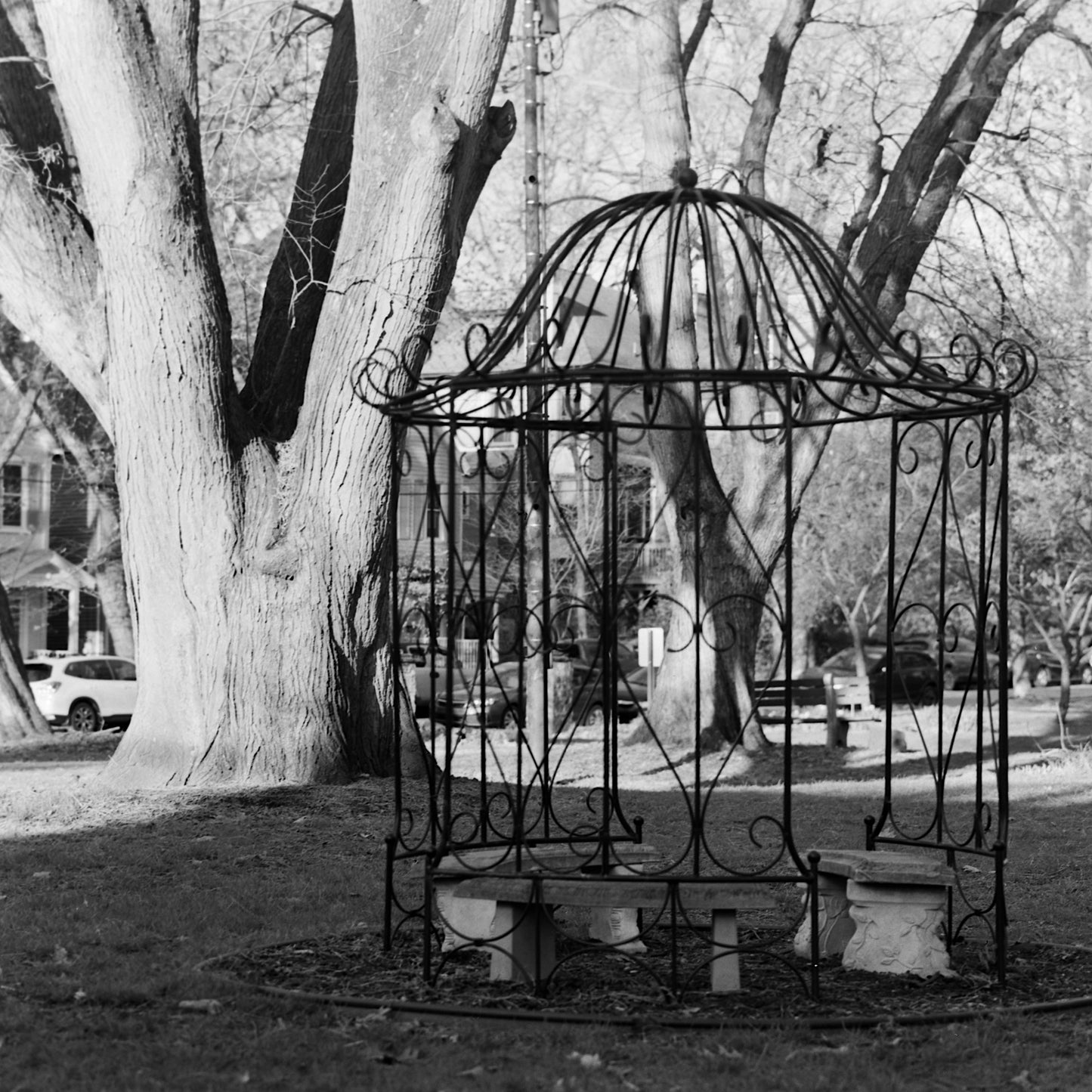 Mercury Vertov 80 - 70mm Film